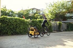 Przyczepka rowerowa | Thule Chariot Sport double Natural Gold 10201033
